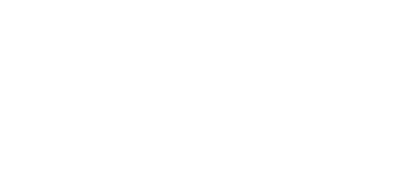 Animal Character