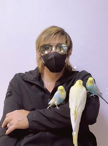 🐥きいろい風☁️