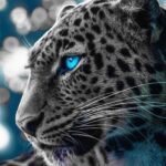 綾春🏎️🇮🇹