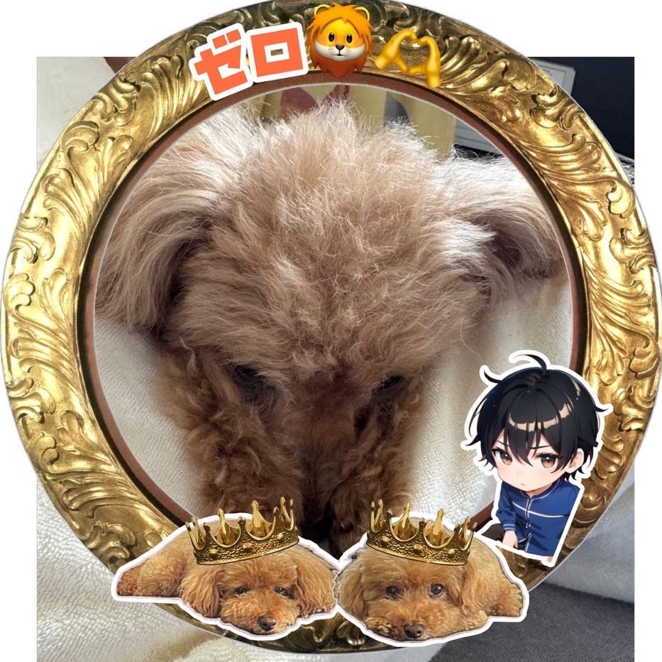 ゼロ🦁🫶