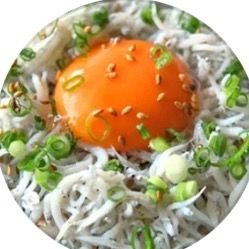 しらす｡🐟🤍