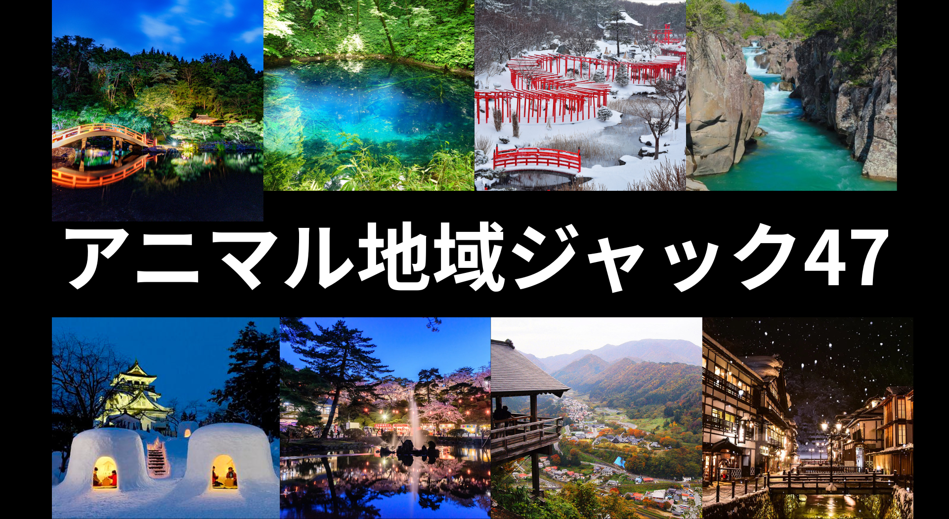 第2回アニマル地域ジャック47