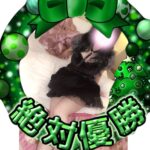 🌟日々ちゃん🌟