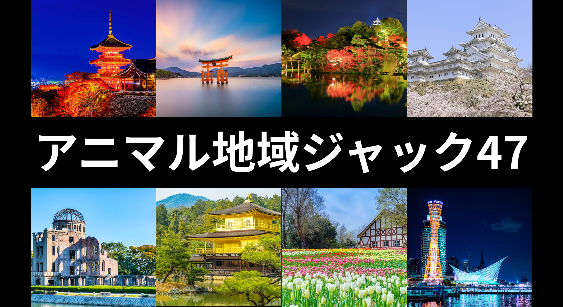 第3回アニマル地域ジャック47