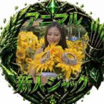 りー🌻🐥